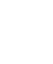 Logo - Nazeel