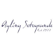 Logo - Ayling International Property Services
